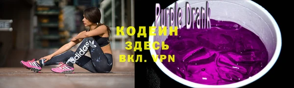 прущий лед Богданович