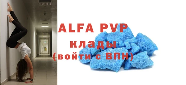прущий лед Богданович