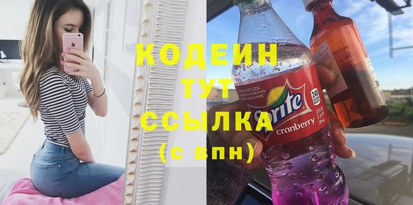 прущий лед Богданович