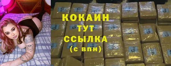 прущий лед Богданович