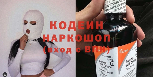 прущий лед Богданович