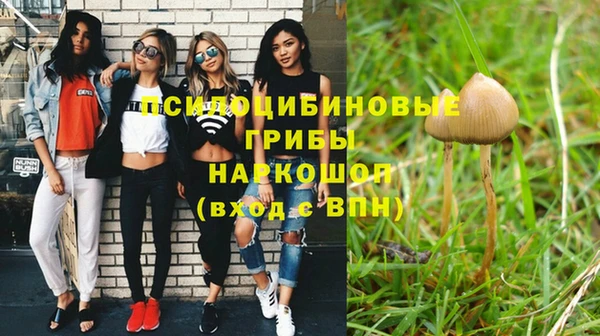 прущий лед Богданович