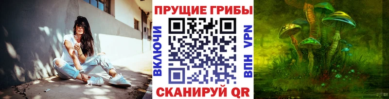 Псилоцибиновые грибы Cubensis  купить закладку  Минеральные Воды 