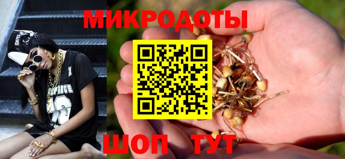 Галлюциногенные грибы прущие грибы Минеральные Воды